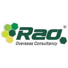 rao consultants schaumburg.